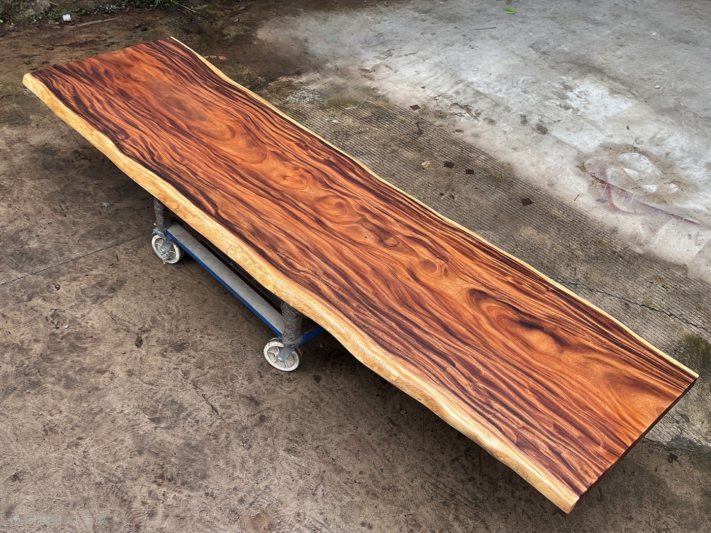 Extra Long One-of-a-Kind Acacia Single Slab Conference Table Set (10ft - 16ft) - FREE Heavy Duty X-Frame Bases